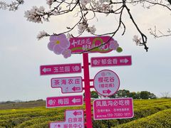 -凤凰沟景区