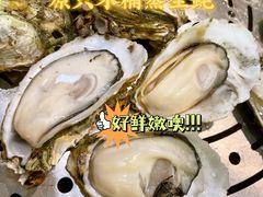 -飞尝蚝·顺德菜·鱼生(顺德总店)