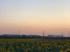 -映月湖中央公园