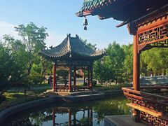 -迎泽公园