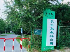 -长白岛森林公园