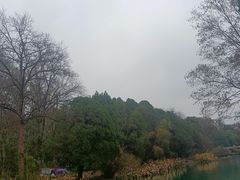 -花溪公园