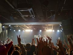 -坚果NUTS