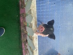 -萌宠亲子动物乐园(槐房万达店)