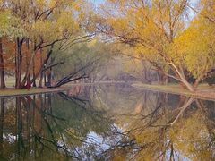 -上海共青森林公园