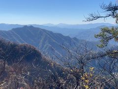 -王顺山国家森林公园