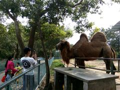 -广东茂名森林公园