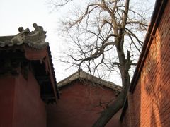 -西安青龙寺遗址景区