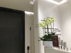 -奥斯芬·欧系贵族SPA
