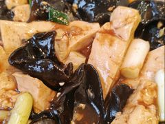 -何适山庄 ·可团建(水长城P2停车场店)