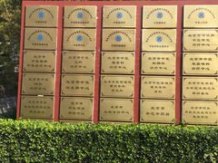 -北京中医药大学东方医院(方庄院区)