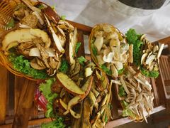 -易门野生菌府·菌海森林(月牙潭公园店)
