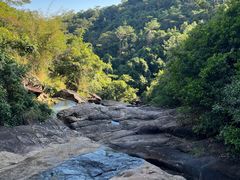 -广州白江湖森林公园