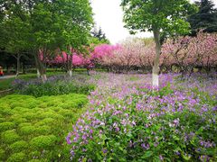-白塘生态植物园