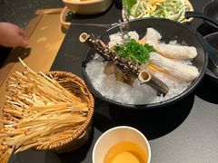 -季季山•云南野生菌火锅(上海首店)