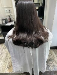 -风向标WIND VANE SALON