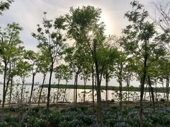 -天津东丽湖风景区