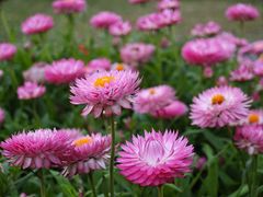 -福田红树林生态公园