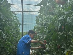 -西部长青自然儿童乐园