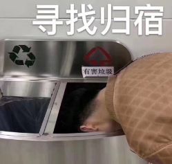 -查克拉造型
