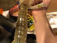 -鲜入围煮花胶鸡海鲜火锅