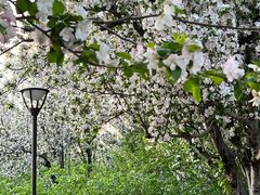 -元大都城垣遗址公园