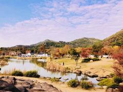 -白马涧龙池景区