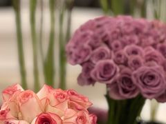 -LONG BAR 廊吧(外滩华尔道夫酒店)