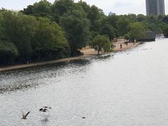 -海德公园