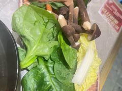 -一绪に寿喜烧(荟聚店)