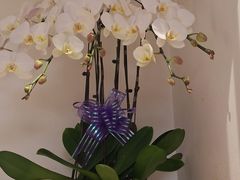 -LANN I 蘭 SPA(陆家嘴中心店)