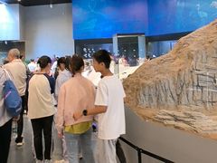 -北京周口店北京人遗址博物馆