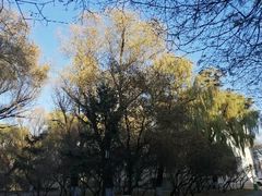 -哈尔滨商业大学(南校区)