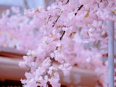 -首开·龙湖成都西宸天街