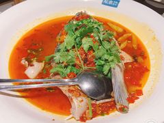 -坛宗剁椒鱼头(河西王府井店)
