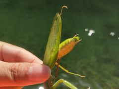 -安吉龙王山峡谷漂流