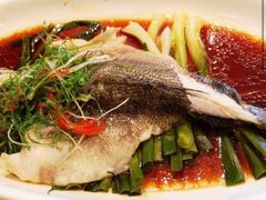 清蒸笋壳鱼-新南华大酒店(长寿店)