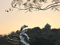 -王借岗森林公园