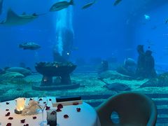 -亚特兰蒂斯•OSSIANO奥西亚诺海底餐厅