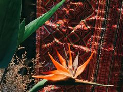 -花马天堂云南餐厅 Lost Heaven(外滩店)