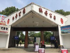 -洛阳市牡丹公园