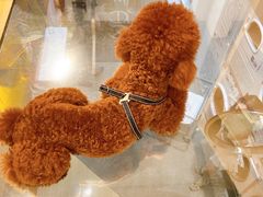 -XI·LaundryCafe 喜咖自助洗衣咖啡店