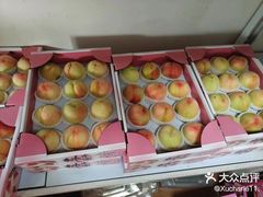 -南汇新场正宗水蜜桃采摘