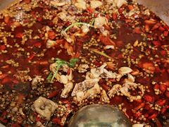 -味之绝热血美蛙鱼火锅(中坝店)