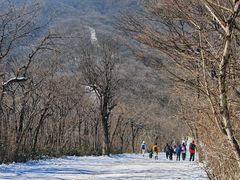 -安吉龙王山风景区