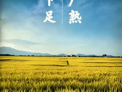 -岳阳市博物馆