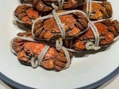 -杨氏青龙虾·羊蝎子(金盛路总店)