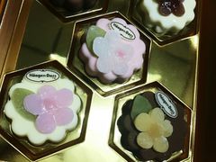 -哈根达斯(国瑞店)