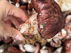 -野菌王牦牛肉汤锅