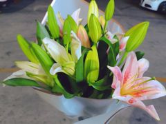 -沪花拾者(好再来花卉鲜花店)